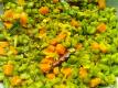 How To Make Colourful Beans Carrot Saute